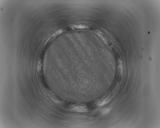 X0000081470555200701262006