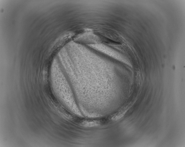 X0000081470557200701262006