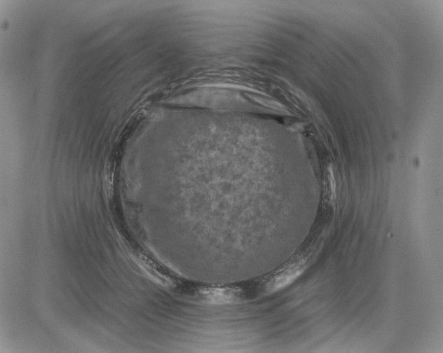 X0000081470558200701262006