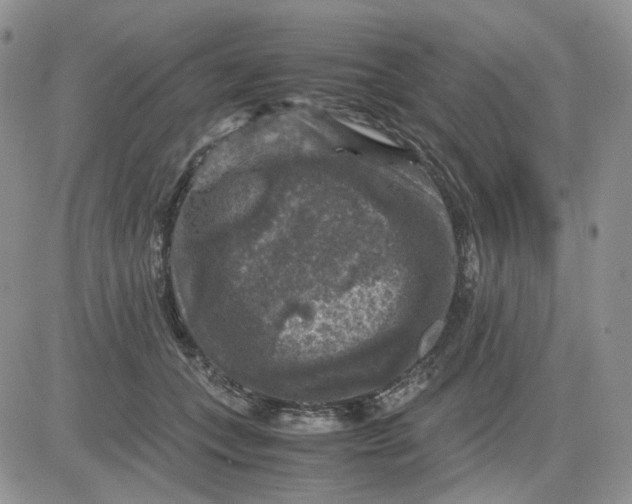 X0000081470559200701262006