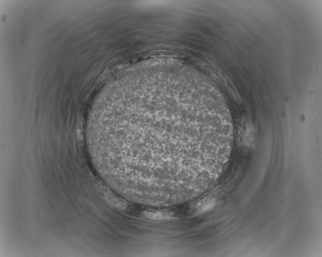 X0000081470561200701262006