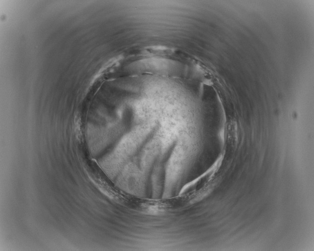 X0000081470564200701262006