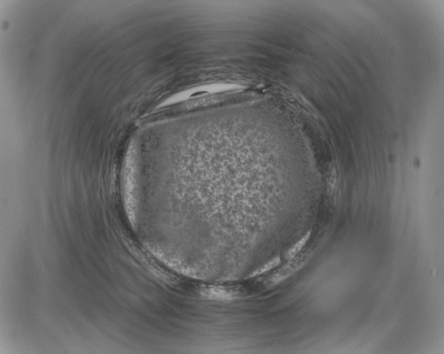 X0000081470565200701262006