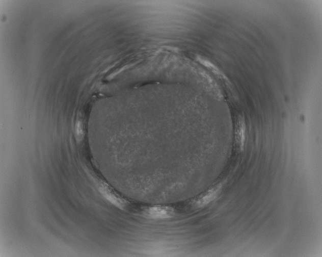 X0000081470566200701262006