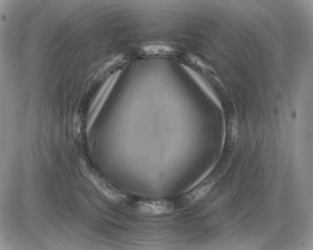 X0000081470567200701262006