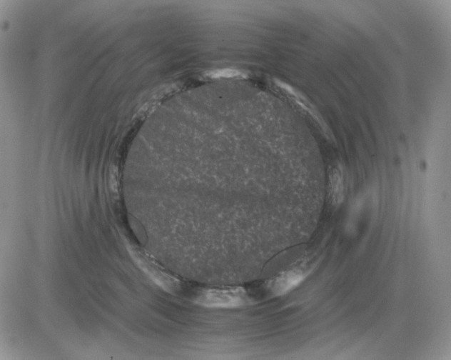 X0000081470571200701262006