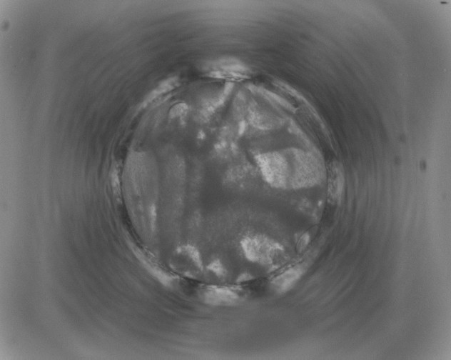 X0000081470573200701262006