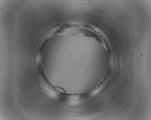 X0000081470574200701262006