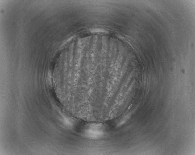 X0000081470575200701262006