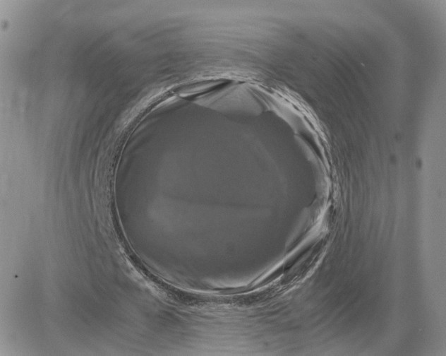 X0000081470577200701262005