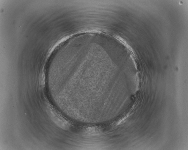 X0000081470584200701262005