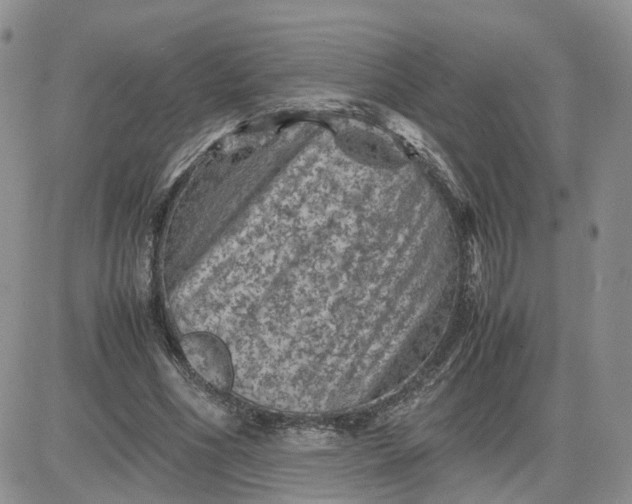 X0000081470586200701262005