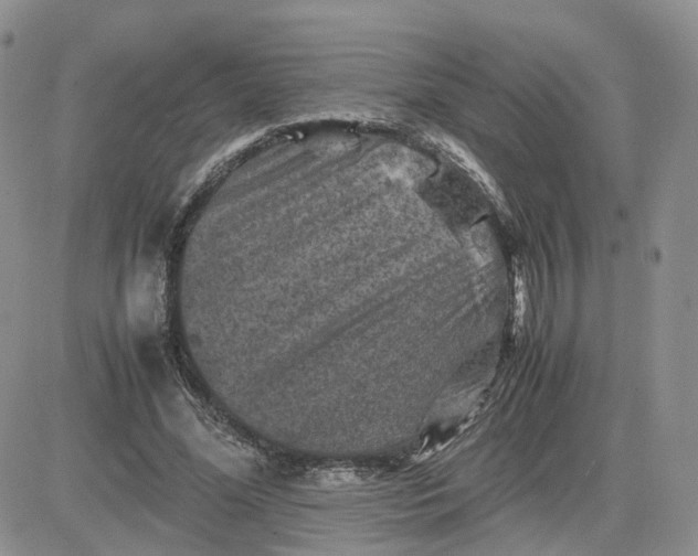 X0000081470588200701262005