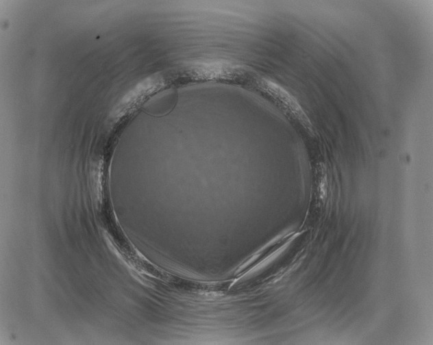 X0000081470590200701262005