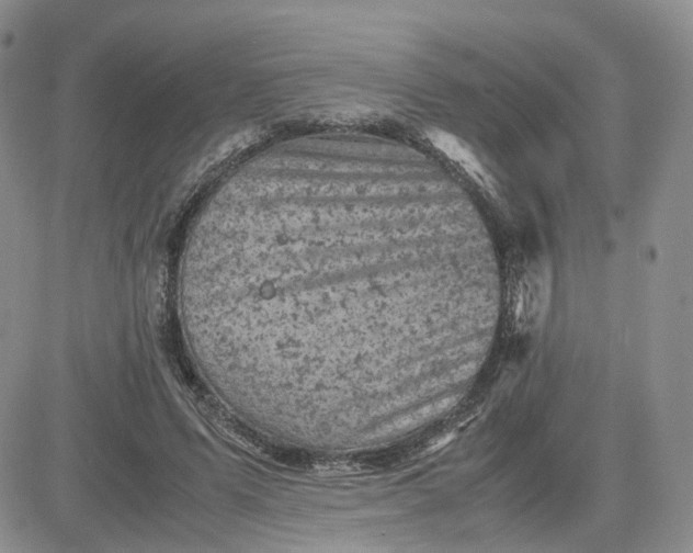 X0000081470591200701262005