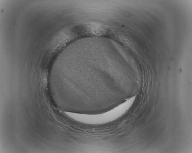 X0000081470595200701262005