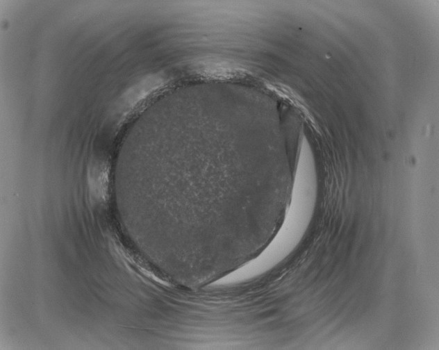 X0000081470596200701262005