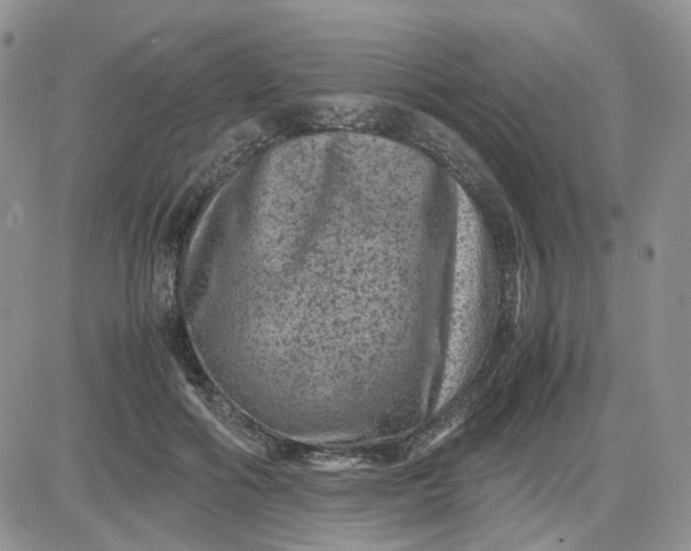 X0000081470602200701262005