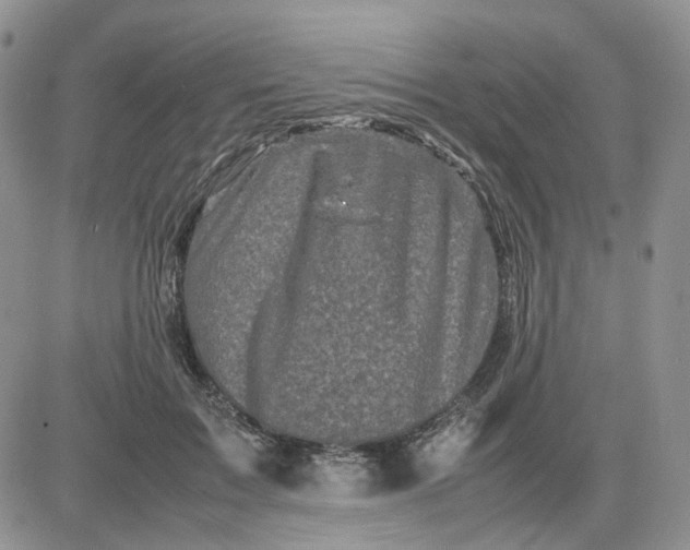 X0000081470603200701262005