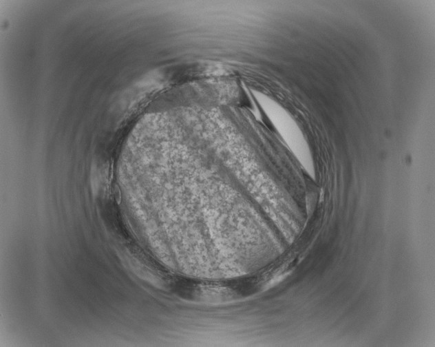 X0000081470605200701262005