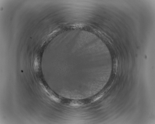 X0000081470608200701262005