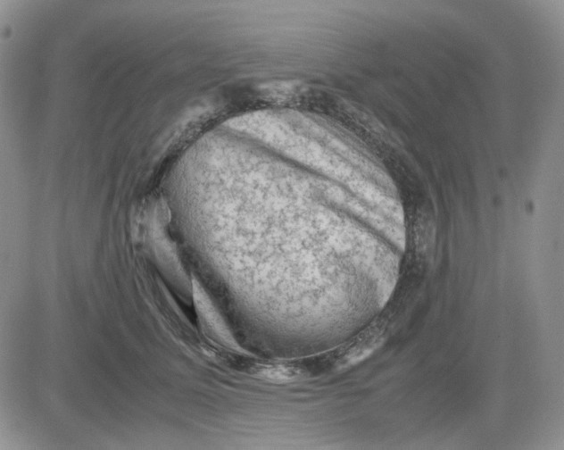 X0000081470611200701262005