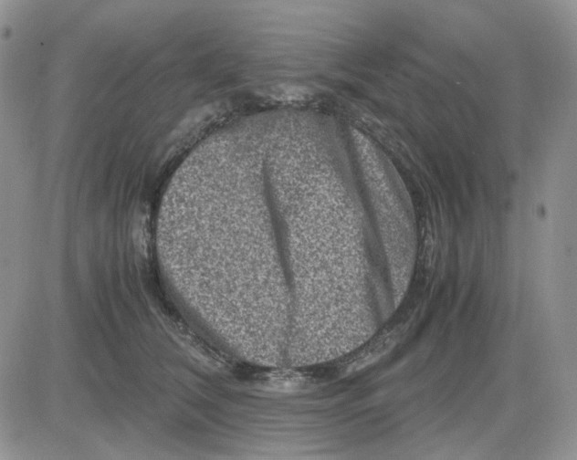 X0000081470612200701262005