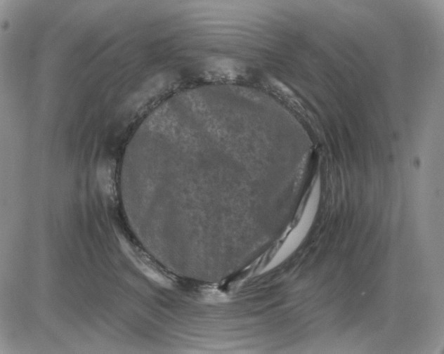 X0000081470616200701262004