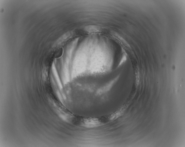 X0000081470618200701262004