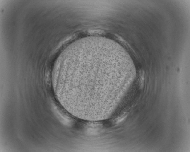 X0000081470619200701262004