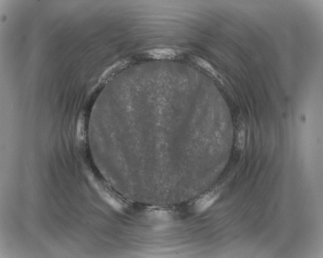 X0000081470620200701262004