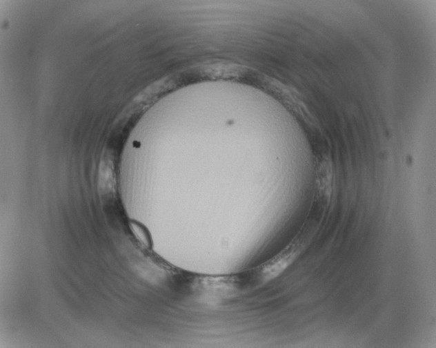 X0000081470622200701262004