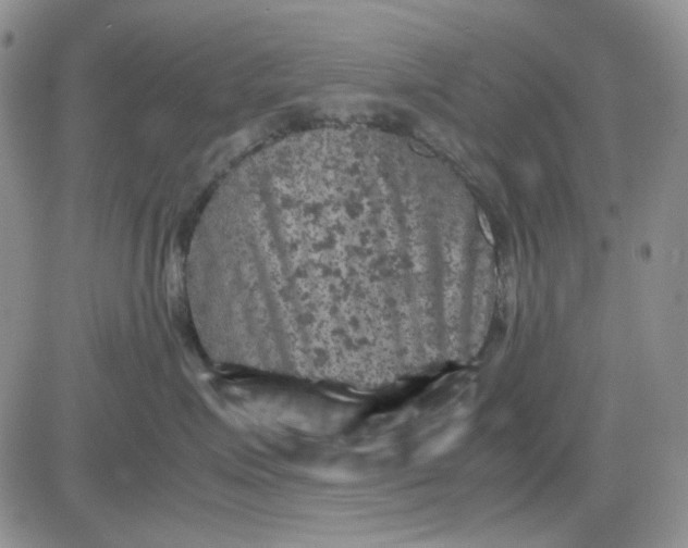 X0000081470623200701262004