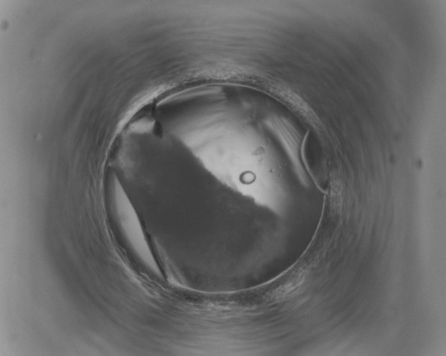 X0000081470626200701262004