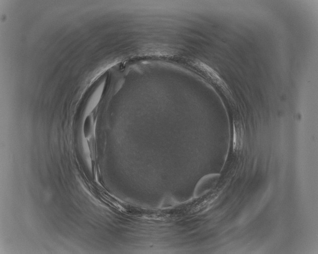 X0000081470627200701262004