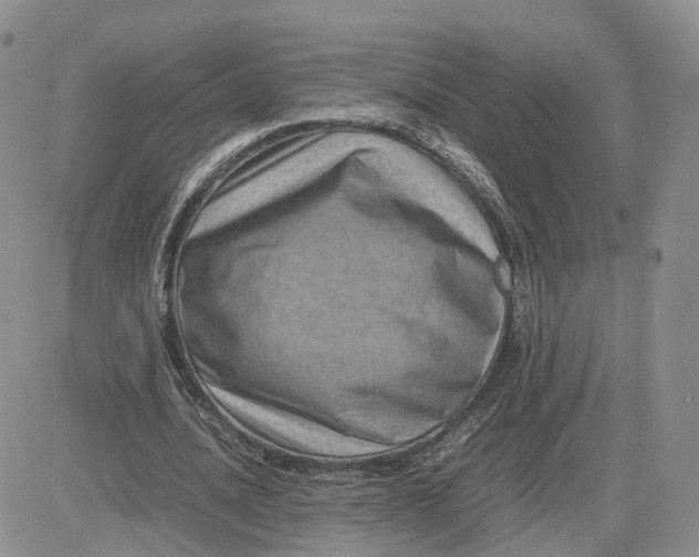 X0000081470628200701262004