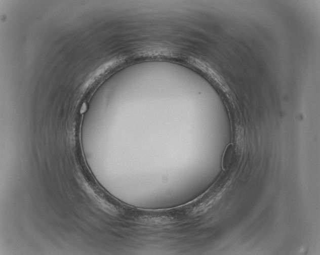 X0000081470629200701262004