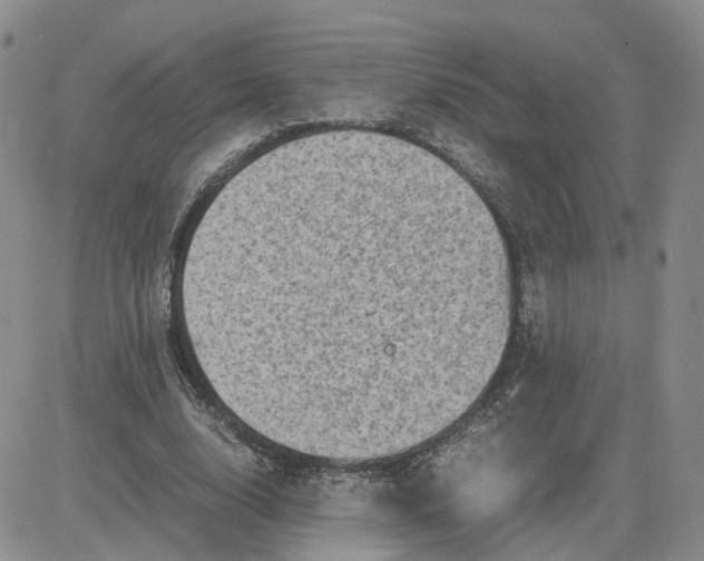 X0000081470632200701262004