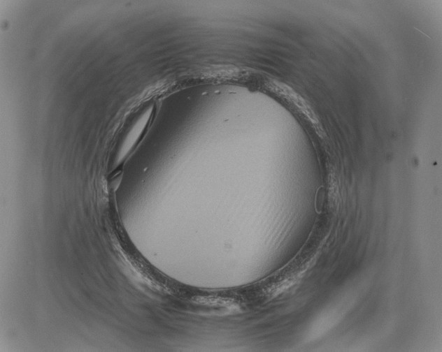 X0000081470633200701262004