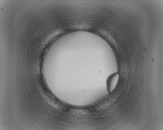 X0000081470635200701262004