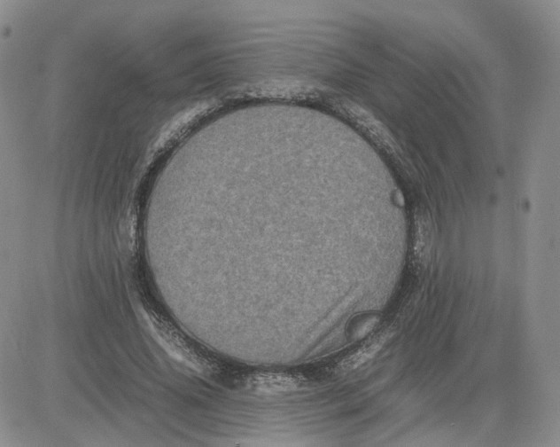 X0000081470636200701262004