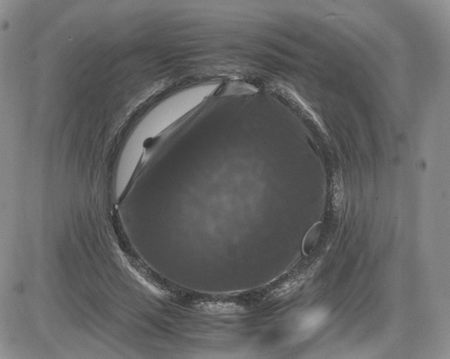 X0000081470637200701262004