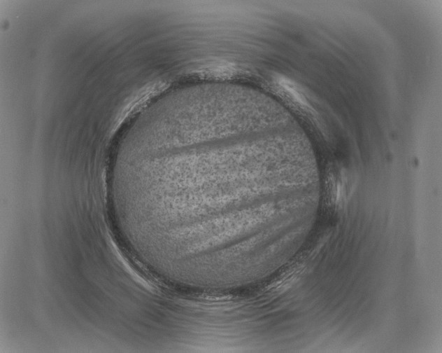 X0000081470638200701262004