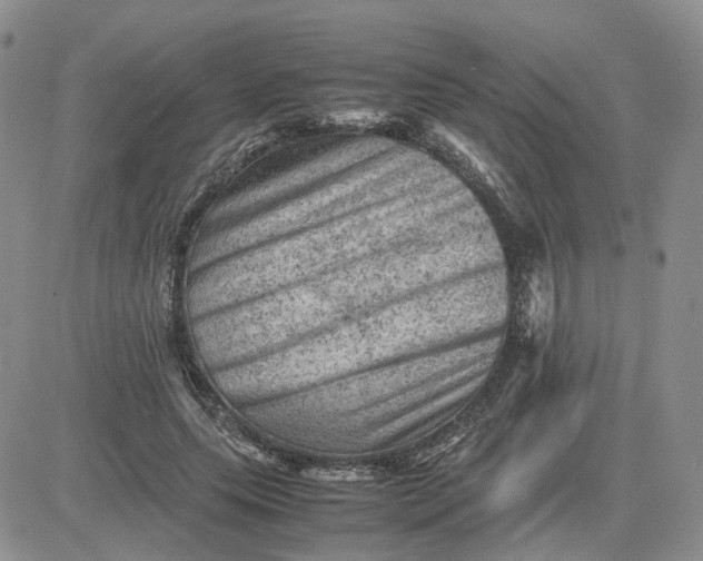 X0000081470639200701262004