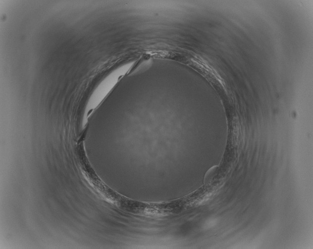 X0000081470641200701262004