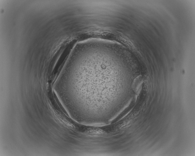 X0000081470642200701262004