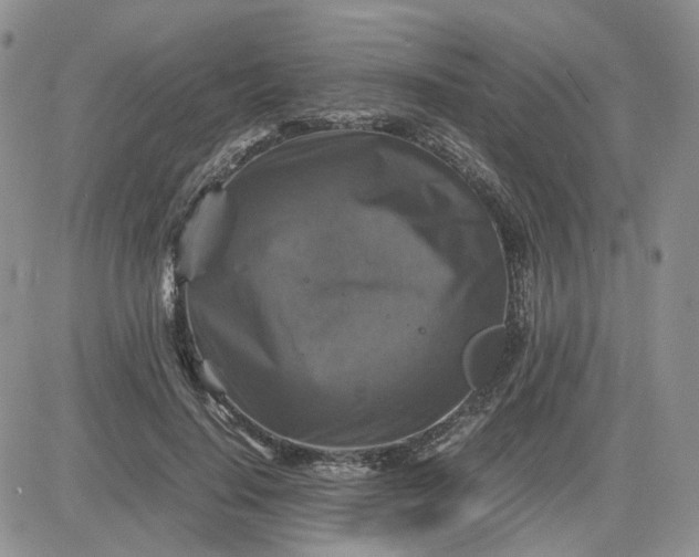 X0000081470644200701262004