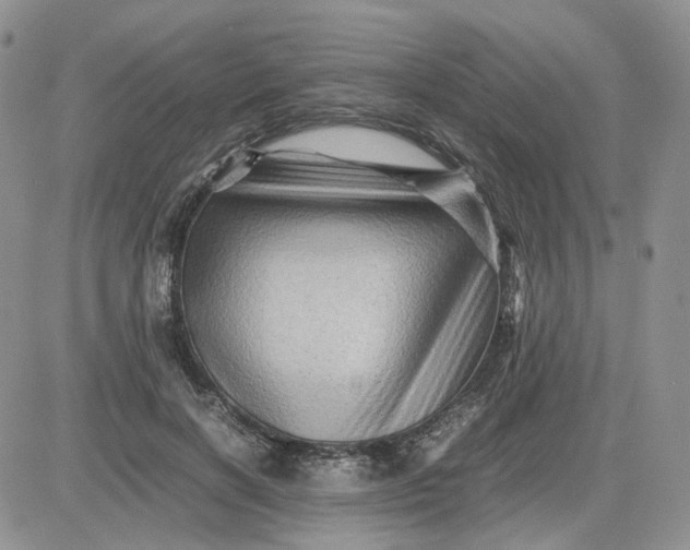 X0000081470646200701262004