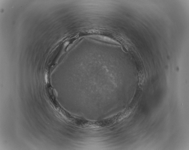 X0000081470648200701262004