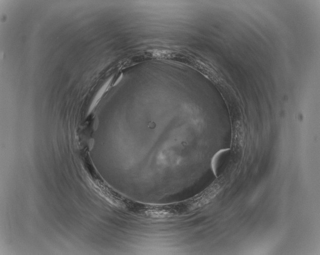 X0000081470650200701262004